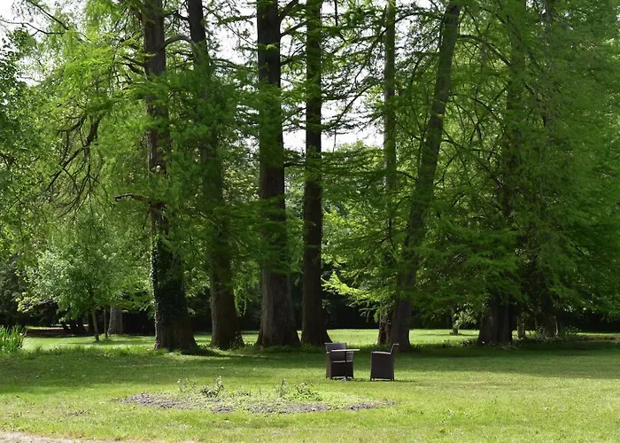 Manoir De Plaisance Bed and breakfast Benon